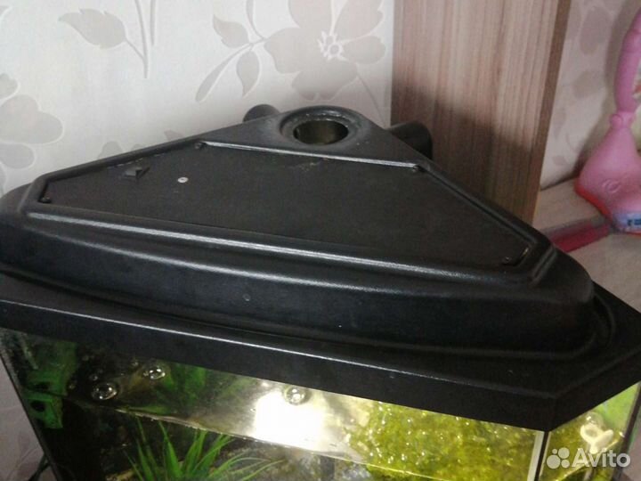 Аквариум с рыбками