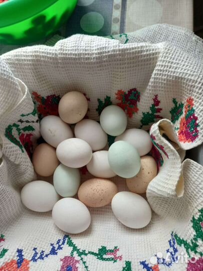 Домашние куриные яйца