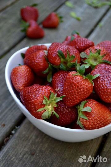 Продам клубнику