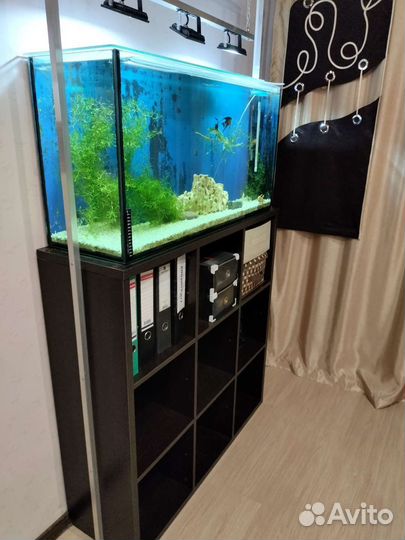Аквариум