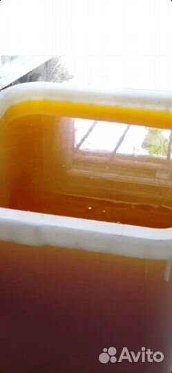 Мёд цветочный оптом от 100 кг отправка по РФ