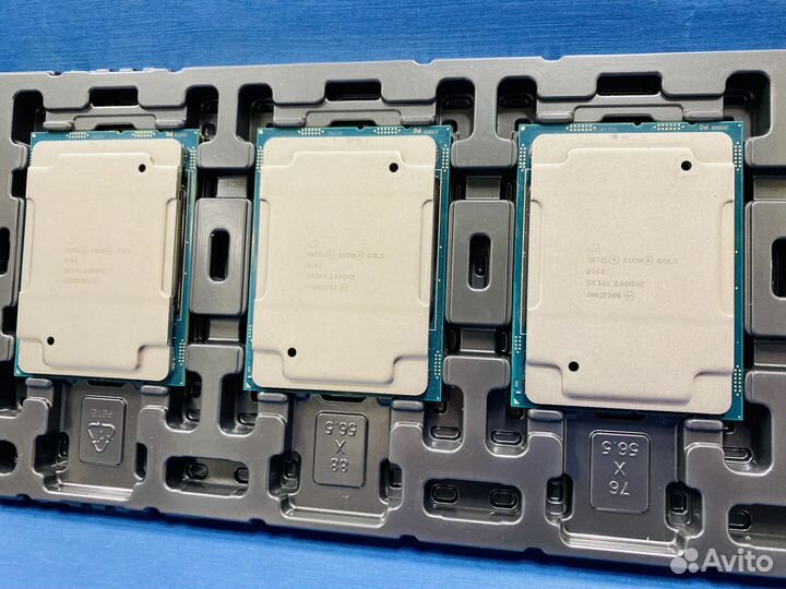 Xeon Gold 6142 16 ядер SR3AY