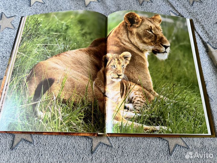 Книга Мир диких животных без мифов