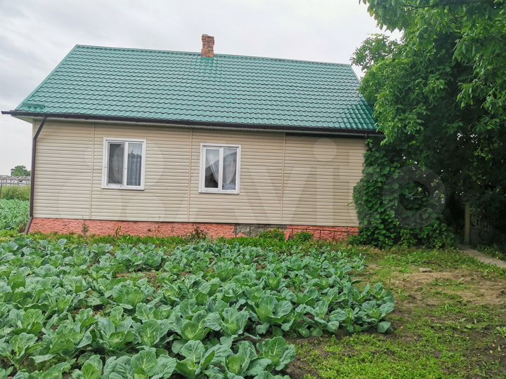 Дом 100 м² на участке 4000 м² (Белоруссия)