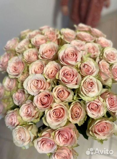 Розы, букет цветов