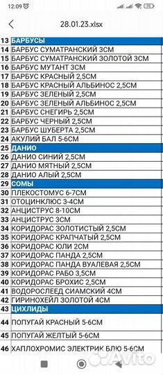 Аквариумные рыбы