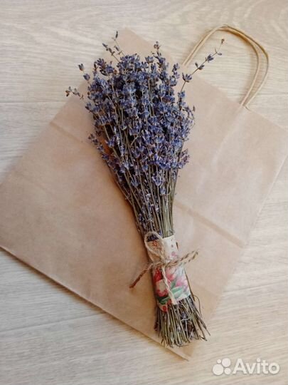 Крымская лаванда