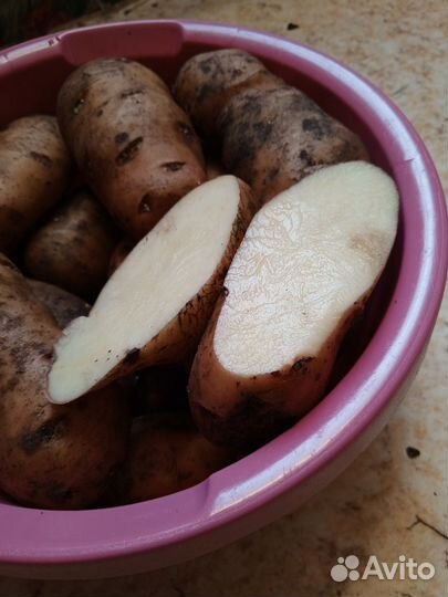 Продукты питания