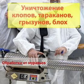 Уничтожение клопов тараканов грызунов блох