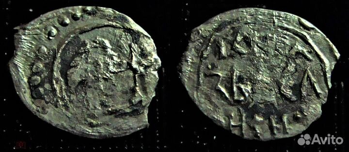 Чешуя удельная Василия Дмитриевича полуденга