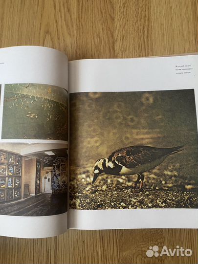 Книга о Красноводском заповеднике