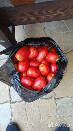 Помидоры сливка