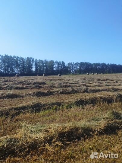 Сено в тюках костер