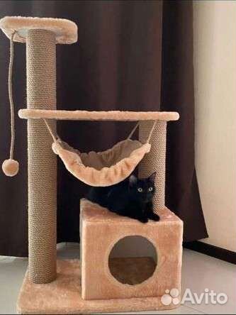 Когтеточка с домиком / дом для кошки