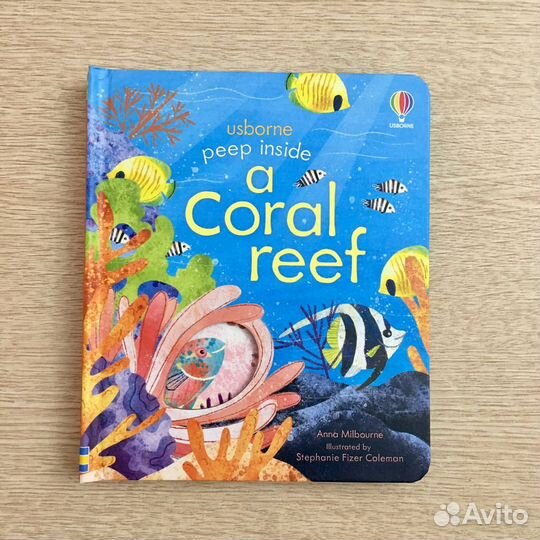 Морской берег Коралловые рифы Море