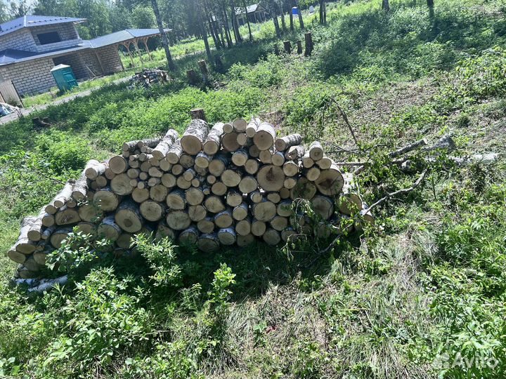 Дрова бесплатно