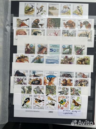 Флора фауна