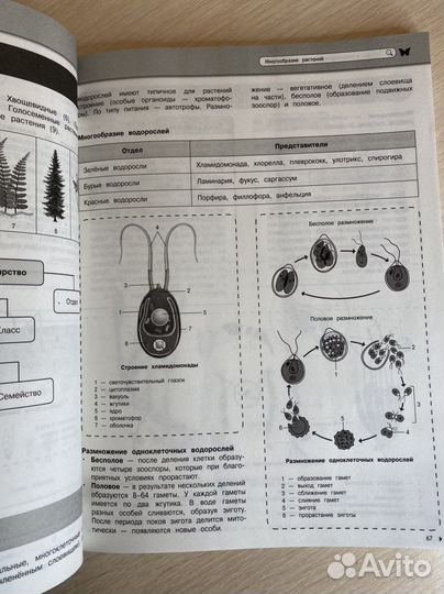 Учебник биология егэ