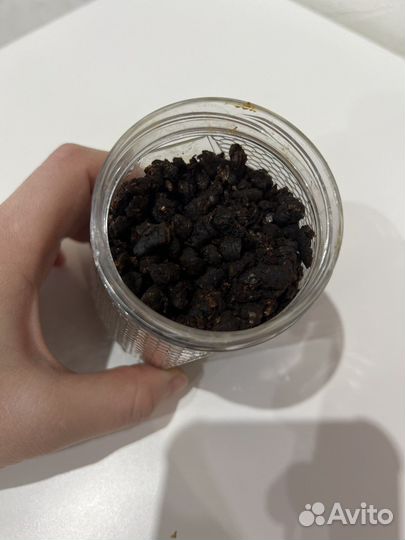 Перга пчелиная 150г