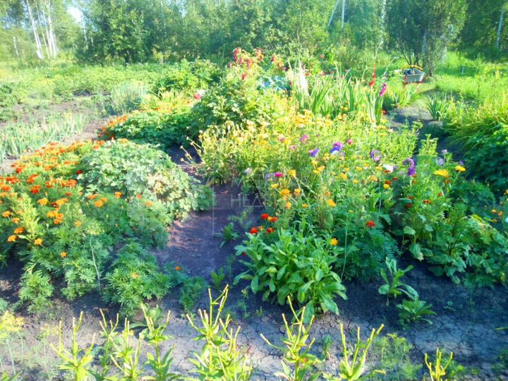 Дача 24 м² на участке 12 сот.