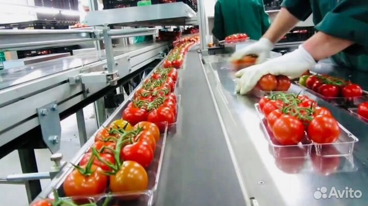 Вахта Тула с жильем от 25 смен Рабочие в теплицу