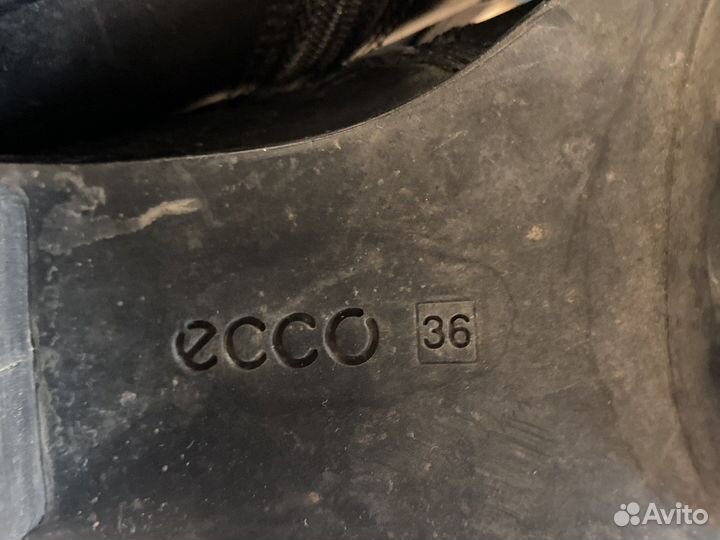 Сапоги зимние ecco 36 женские