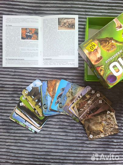 Мемо Удивительные животные