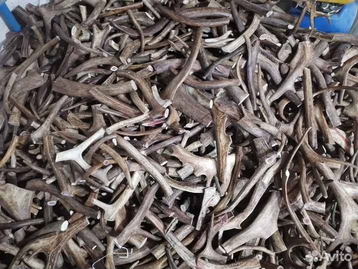 Лакомства для собак(Рога оленя)