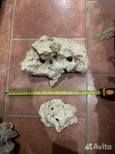 Меотис. Камень песчаник