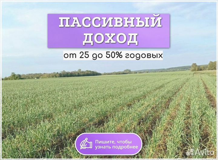 Готовый бизнес, инвестиции