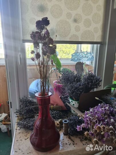 Букет из сухоцветов,сухоцвет