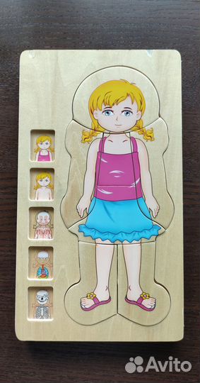 Многоуровневый пазл по изучению строения Onshine