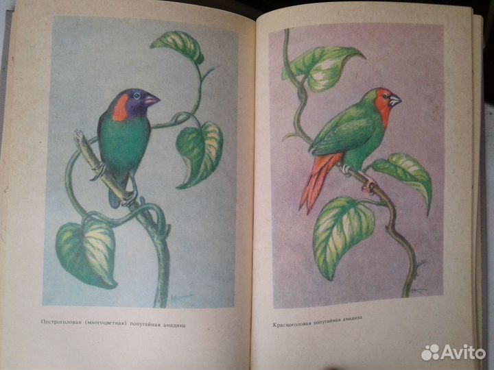 Справочное пособие для любителей птиц