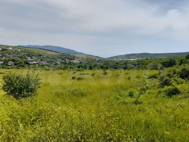 Участок 1,46 га (СНТ, ДНП)