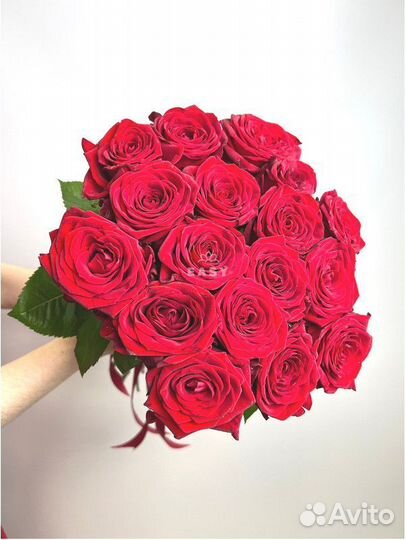 101 роза цветы букеты доставка 25 51 101 роза