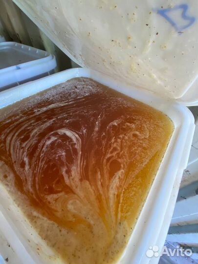 Мед из Алтайского края оптом