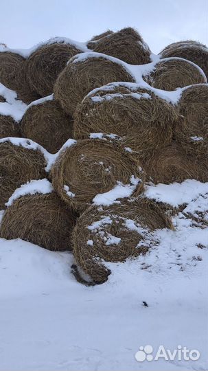 Солома в рулонах
