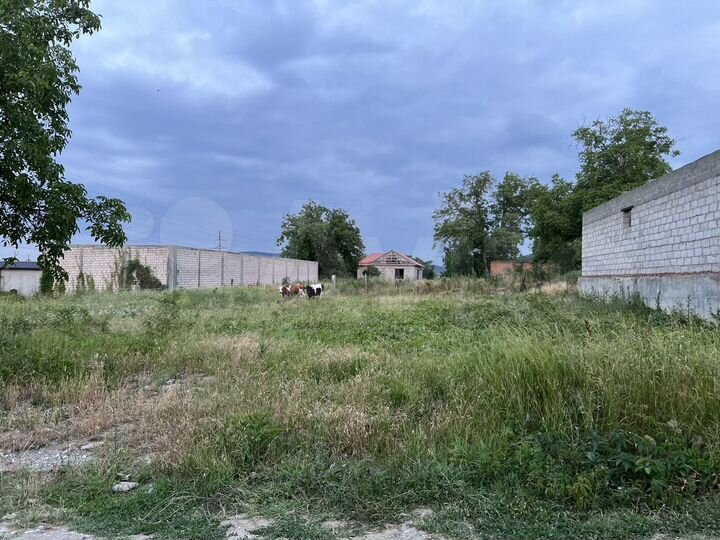 Участок 5,25 га (СНТ, ДНП)