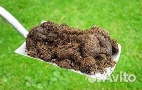 Навоз перепревший