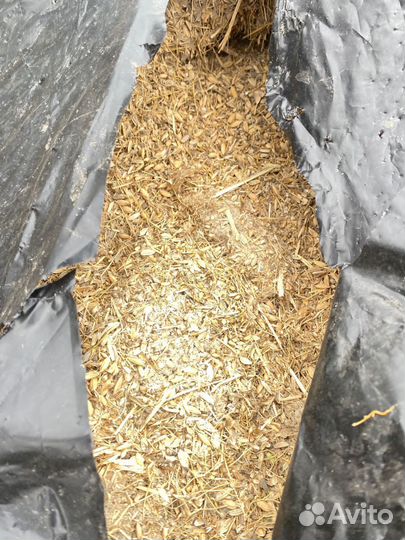 Рисовые отходы