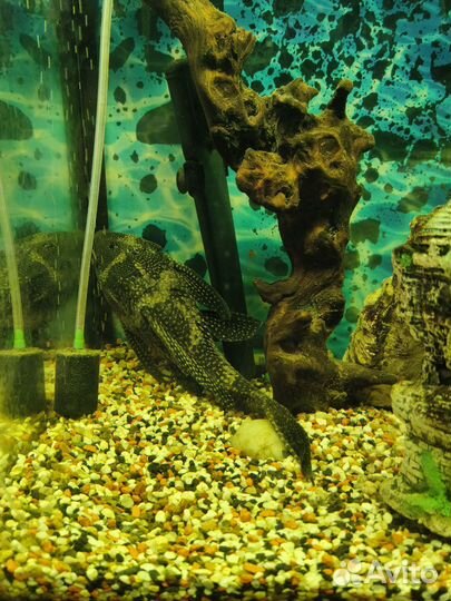 Аквариум с тумбой 180 литров