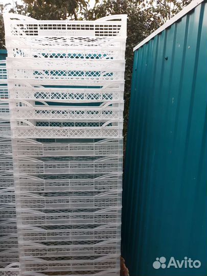 Пластиковые ящики бу