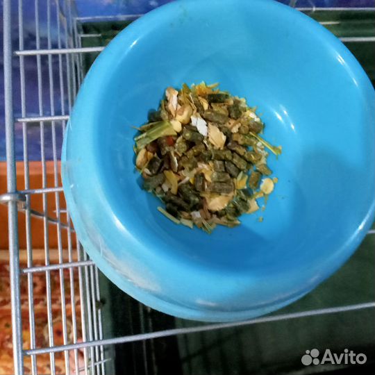 Клетка для морских свинок или крыс