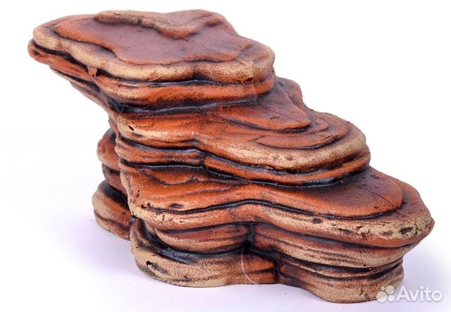 Акватеррариумы (черепашники), аквариумы