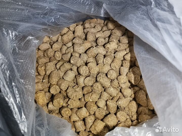 Сухой корм для взрослых собак