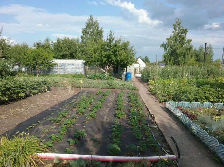 Дача 40 м² на участке 9 сот.