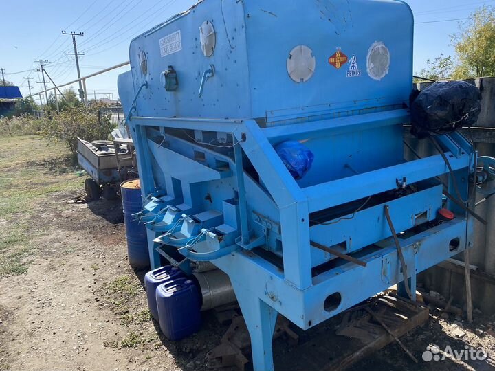 Пектус гигант 531