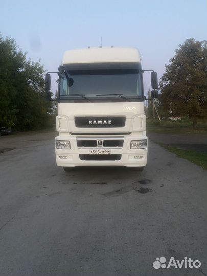 КамАЗ 5490 NEO, 2018