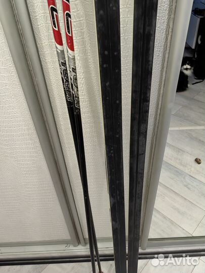 Беговые лыжи fischer