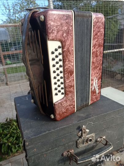 Гармонь чайка